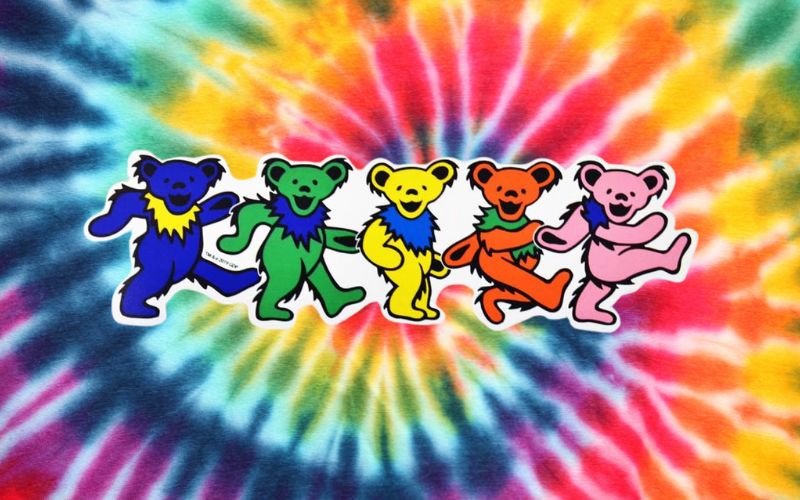 Grateful Dead Bear – History and Examples